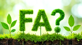 Die 5 meistgestellten Fragen (FAQ) zu Umweltschutz