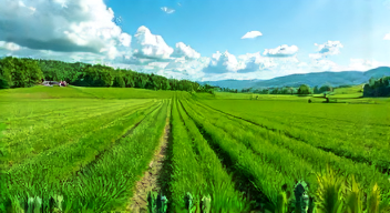 Soziale Dimensionen der Düngung und ihre Folgen (5/10)