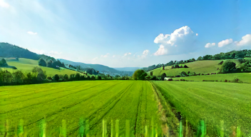 Kulturelle Perspektiven auf Flurbereinigung (10/10)