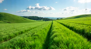Ökonomische Überlegungen zur Flurbereinigung (8/10)